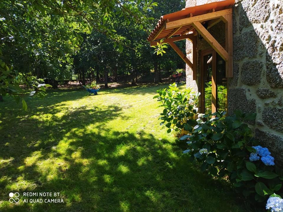 Casas Vale Martinho Bed & Breakfast Santa Comba Dao Exterior photo