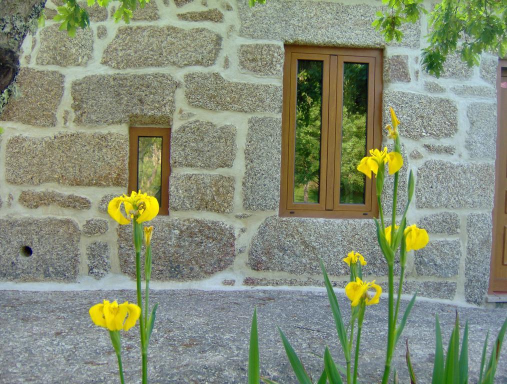 Casas Vale Martinho Bed & Breakfast Santa Comba Dao Exterior photo